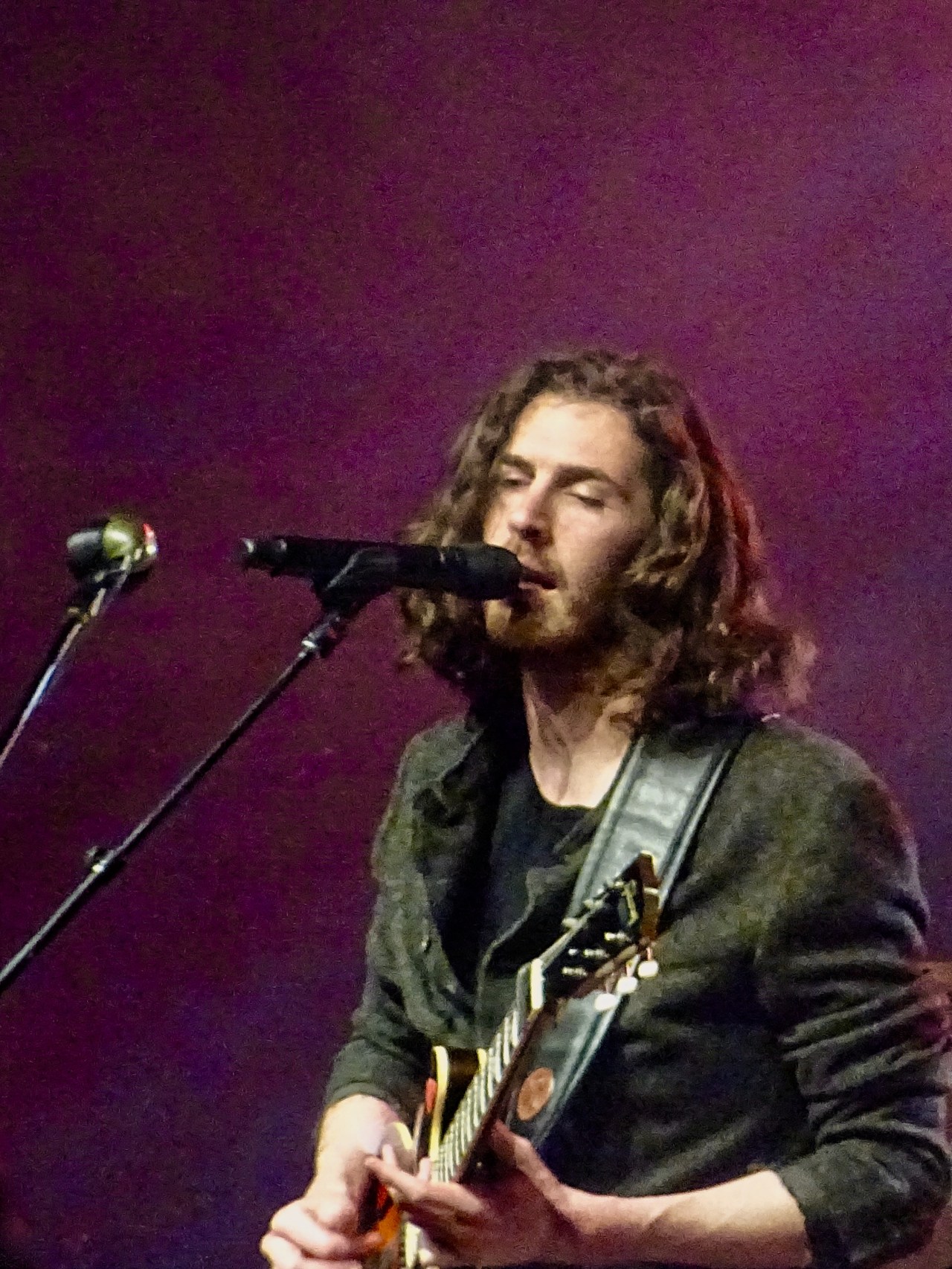 Hozier Edmonton Folk Fest 2019