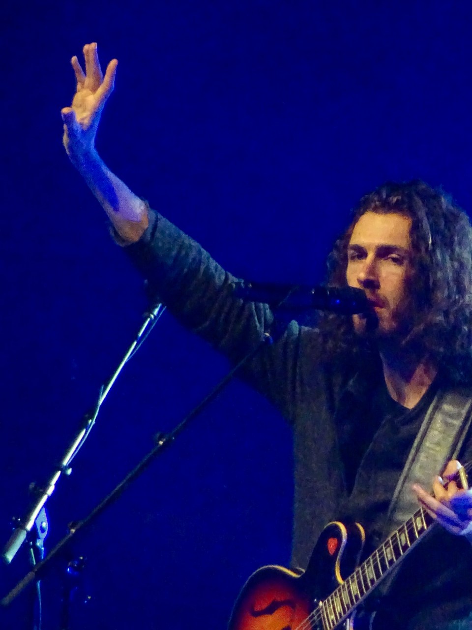 Hozier Edmonton Folk Fest 2019