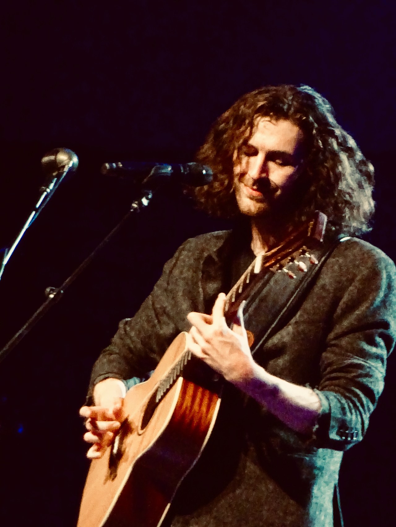 Hozier Edmonton Folk Fest 2019