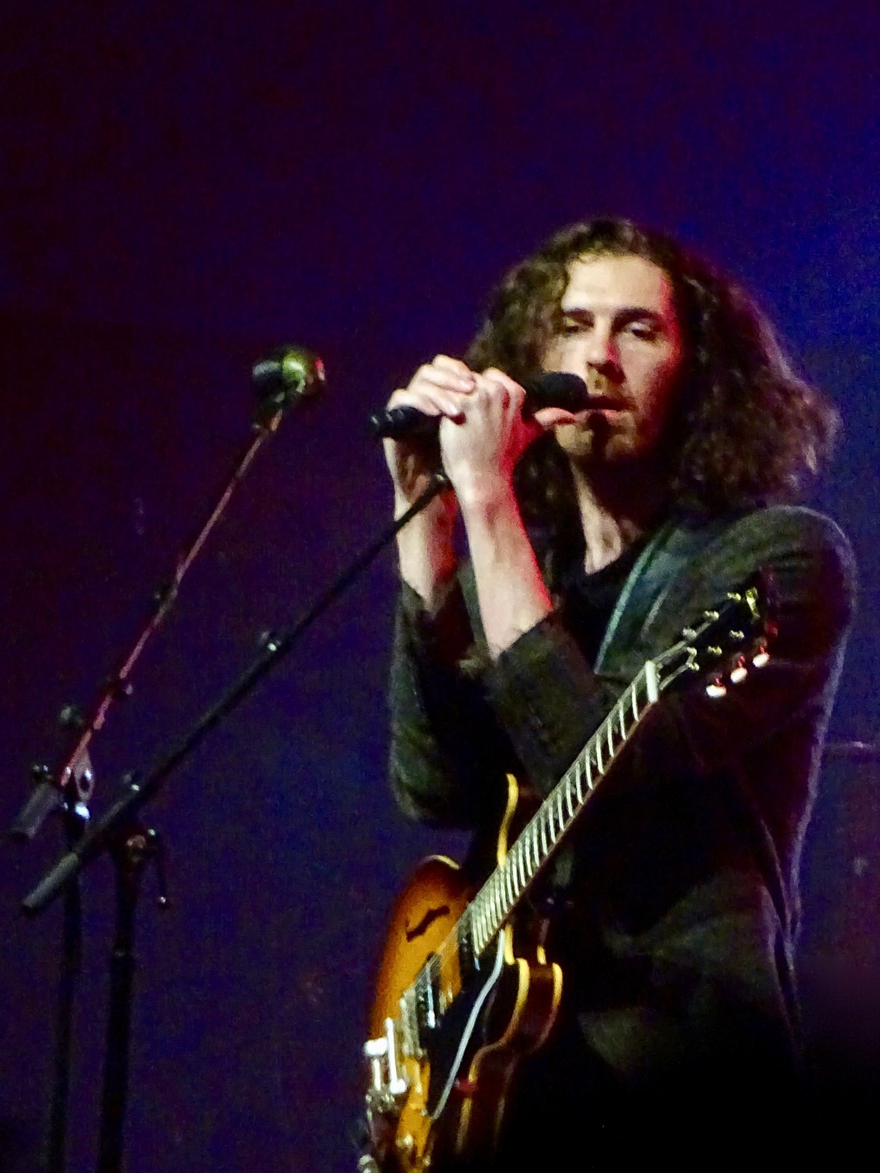 Hozier Edmonton Folk Fest 2019