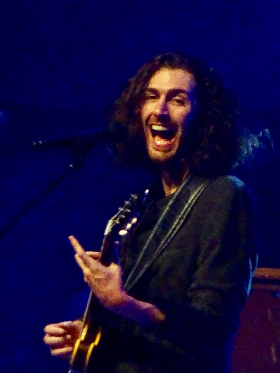 Hozier Edmonton Folk Fest 2019