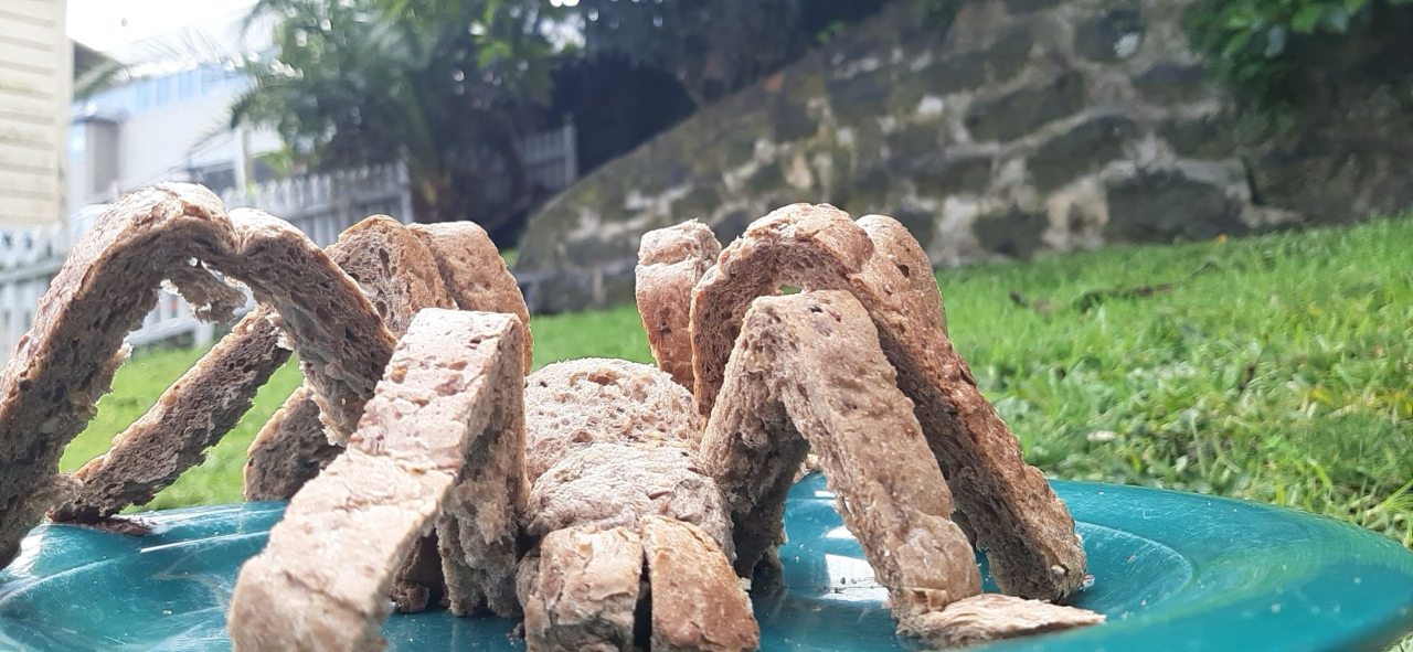 GISH 2019 item #79: Create a realistic sculpture of an arachnid or insect out of bread, ice, or marble. By Ruth Davy