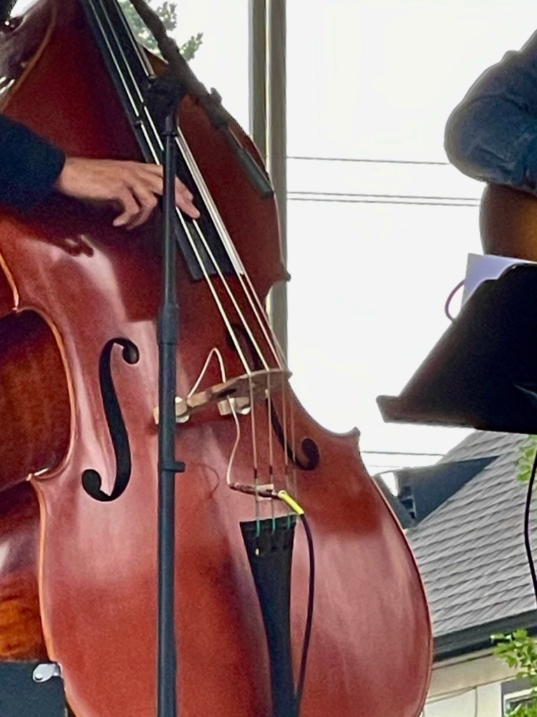 Edmonton Folk Music Festival 2021 Post Script Bass