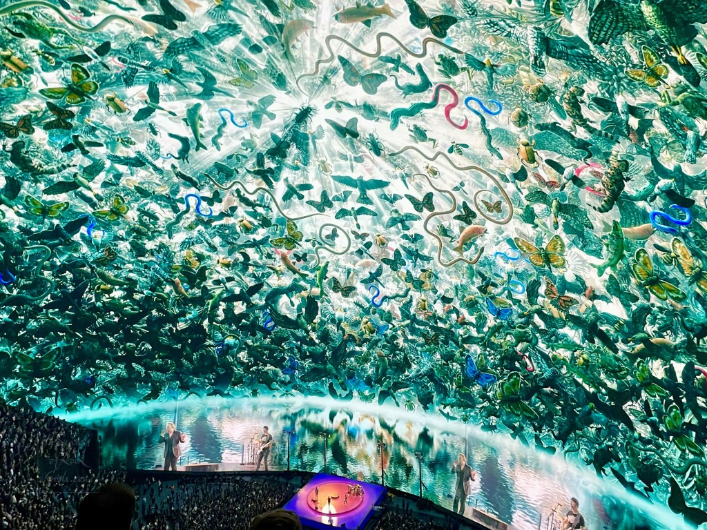 A photo of the U2:UV Achtung Baby at the Sphere screen displayed during the song 40. The imagery is of the Beautiful Day insects and animals and is in teal. Taken at the concert in Las Vegas on March 2, 2024. 