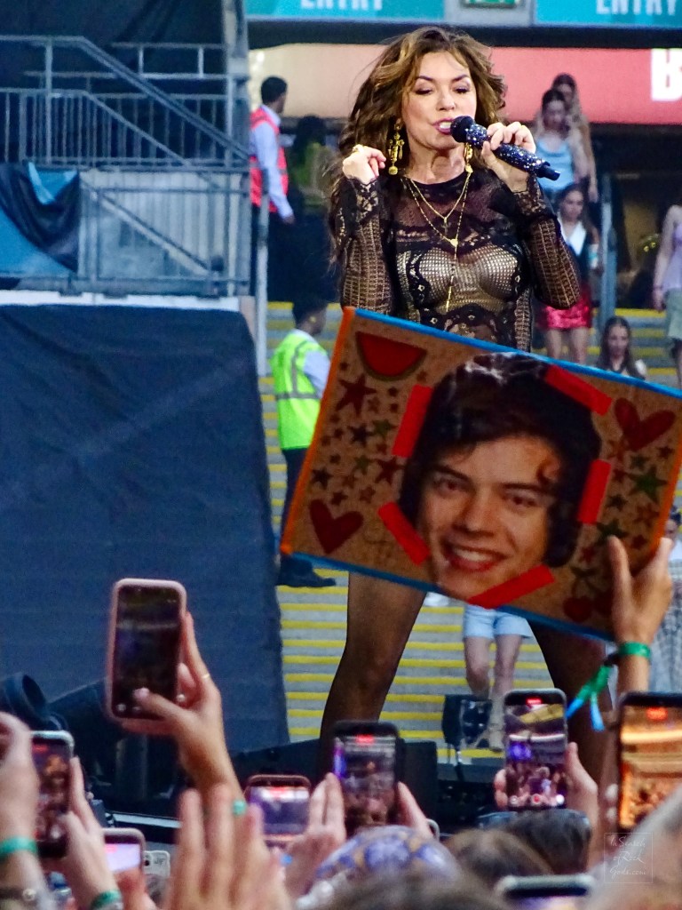 Shania Twain Opening for Harry Styles Together Together Wembley N5 June 20 2026